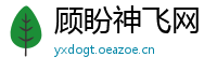 顾盼神飞网